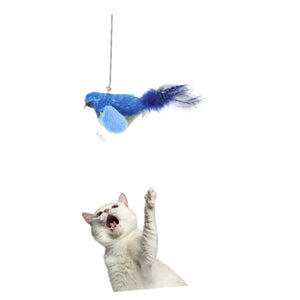 Hohopeti Cat Noise Toy Household Kitten Toy Portable Kitten Toy Portable Cat Teasing Toy Hanging Cat Toys Small Kitten Toy Interesting Cat Bird Toy Funny Toy The Cat Hanging Toys Pp