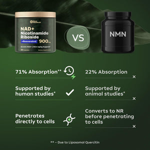 PacificCoast NutriLabs Reus Research NMN Supplement Alternative - Liposomal Nicotinamide Riboside w/Resveratrol & Quercetin - High Purity NAD Supplement for Anti-Aging, Energy, Focus - 80 Capsules