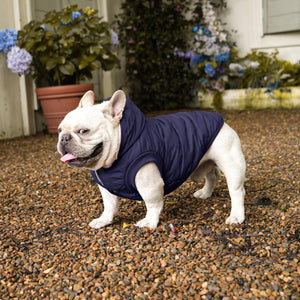 Vecomfy Fleece Lining Extra Warm Dog Hoodie in Winter,Small Dog Jacket Puppy Coats with Hooded,Blue XS